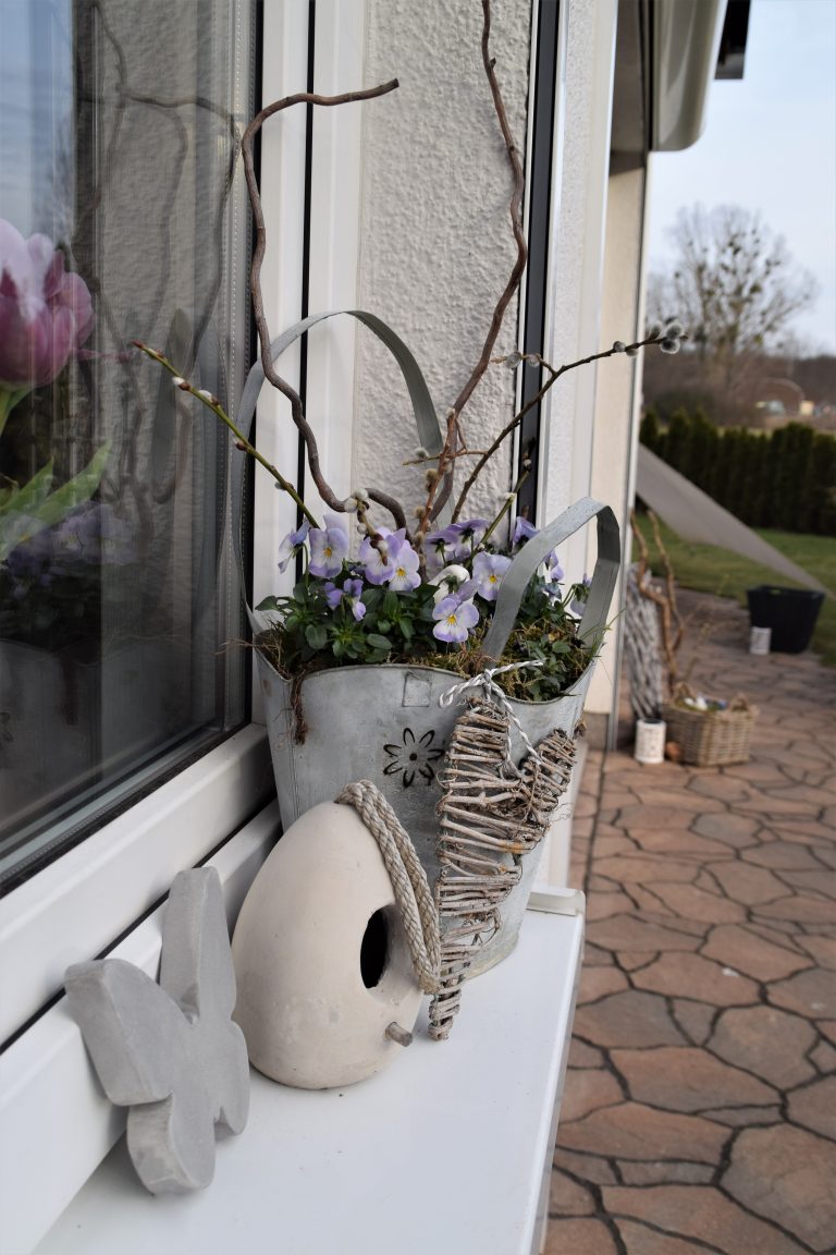 Schon ein bisschen Frühling im Garten…