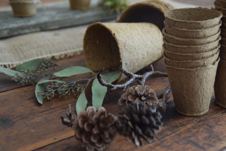 DIY Herbst in Saatbechern