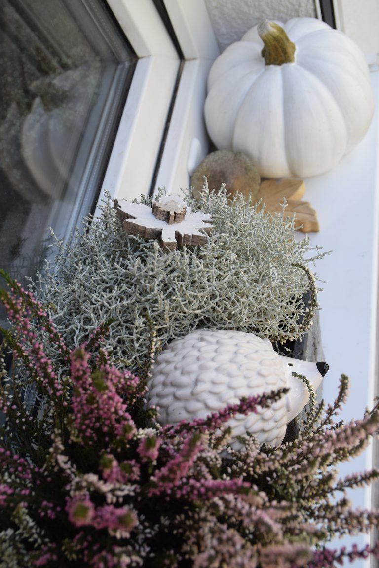 Herbstdeko im Garten