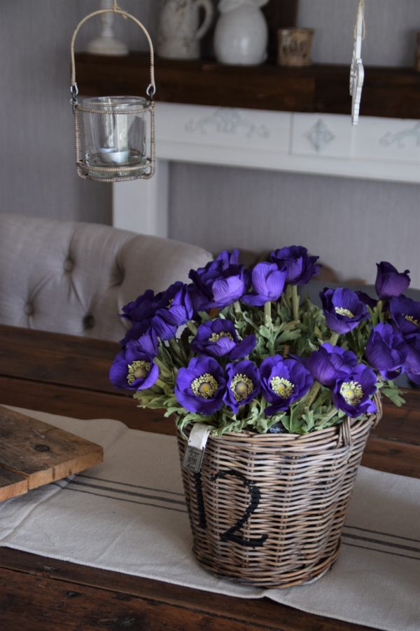 Anemone in der Farbe Lila