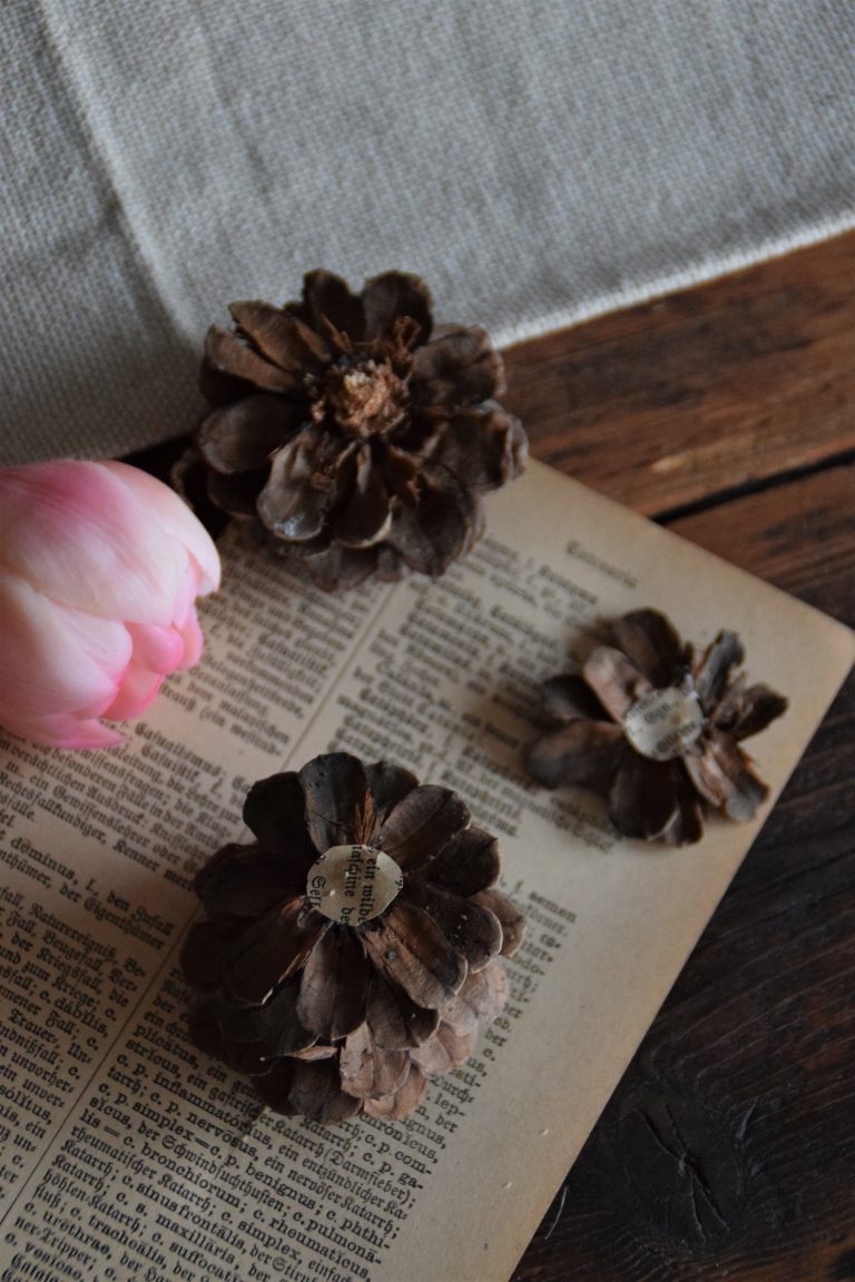 3 DIY Anleitungen zu Blüten aus Tannenzapfen