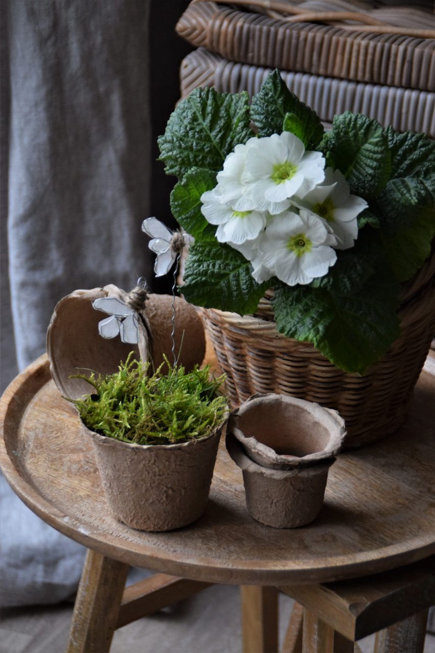 Elas Dekoideen Blog und für Dekoration