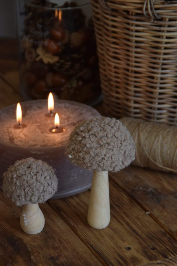 Pilz Farbe Braun versch. Größen