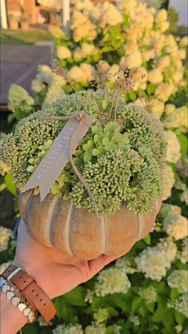 Startet gut in das Wochenende.  Mein SB-Stand ist mit wunderschönen ersten Herbstboten befüllt...