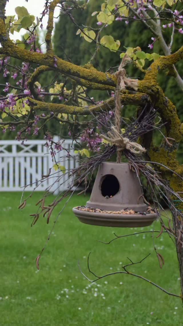 Da habe ich mich doch direkt an ein neues Zuhause für unsere Gartenbewohner gewagt...
 
Keine halbe Stunde Arbeit und die Vögel haben ein neues Dach über dem Kopf und ich finde es super dekorativ.

Die Anleitung findet ihr ganz entspannt auf Elas-Dekoideen.de.
Habt einen schönen Abend

Tierschutzinfo
Der Mai ist für Vögel einer der anstrengendsten Monate des Jahres: Sie bauen Nester, brüten und müssen ununterbrochen hungrige Schnäbel stopfen. Da es durch das Insektensterben und zubetonierte Gärten oft an natürlicher Nahrung fehlt, ist eine Zusatzfütterung eine echte Überlebenshilfe!