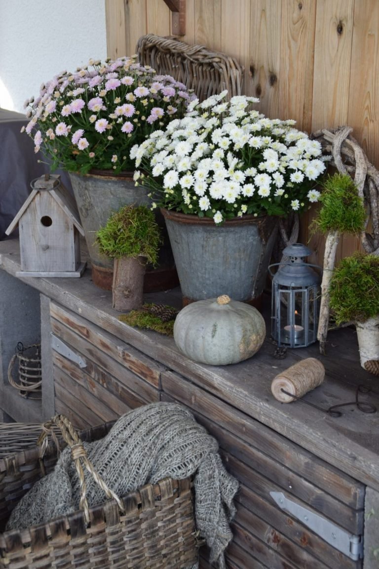 DIY Moospilze mit Joghurtbechern