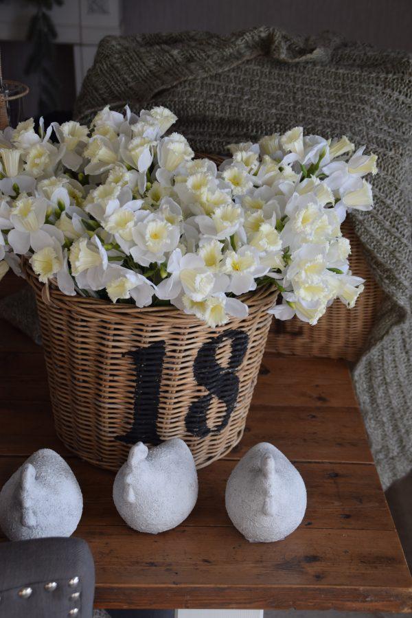 Narzissenzweig mit 5Blüten
