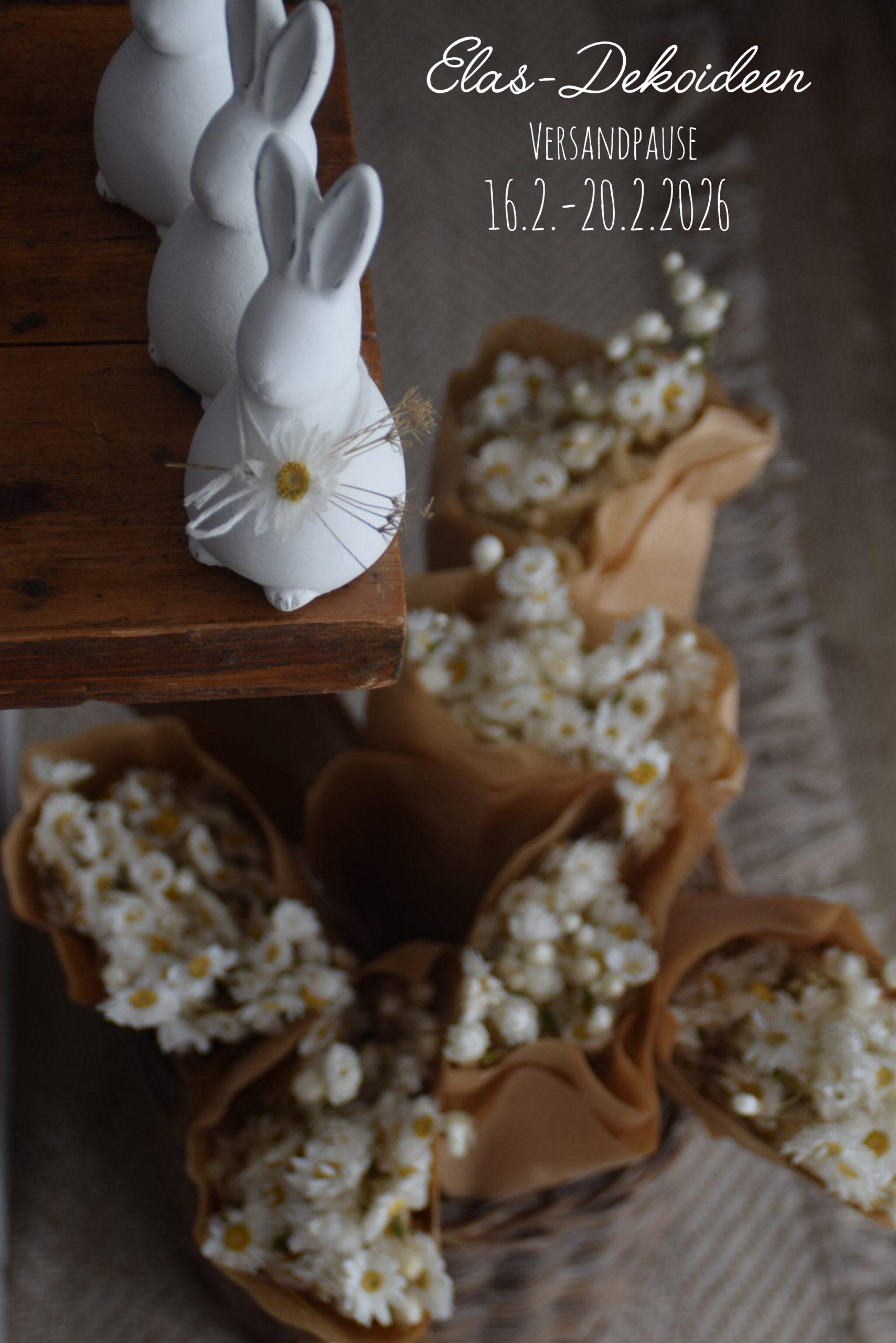 Winterferien- Kraft für den  Frühling tanken…